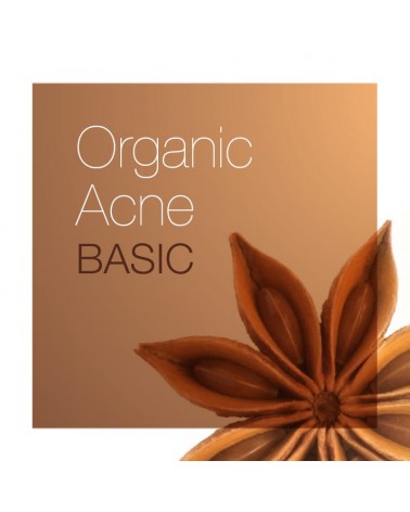 Organic Series ACNE BASIC Zestaw Produktów do Pielęgnacji dla Cery Trądzikowej